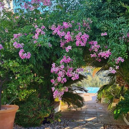 Cortijo La Haza Bed and Breakfast Iznájar Eksteriør billede
