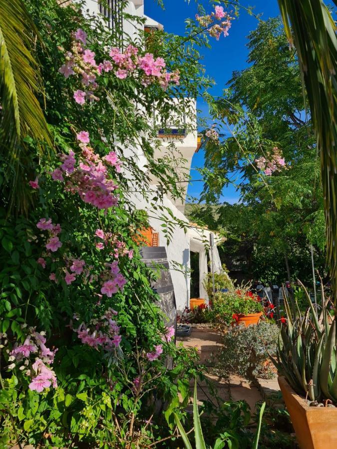 Cortijo La Haza Bed and Breakfast Iznájar Eksteriør billede