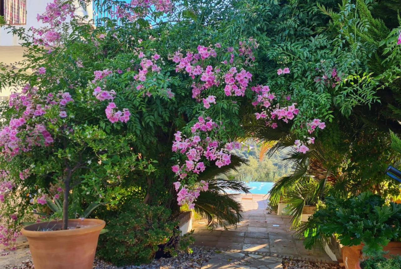 Cortijo La Haza Bed and Breakfast Iznájar Eksteriør billede