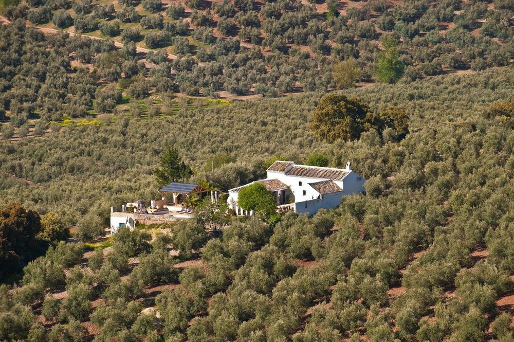 Cortijo La Haza Bed and Breakfast Iznájar Eksteriør billede
